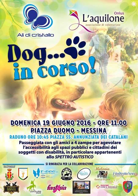 Dog in Corso a Messina